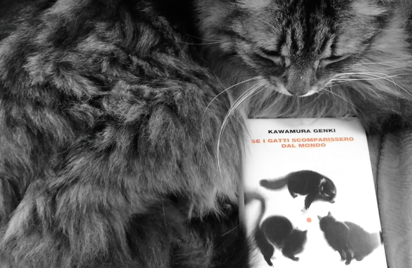 SE I GATTI SCOMPARISSERO DAL MONDO di Kawamura Genki